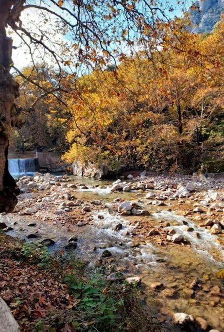 Το Σπίτι Του Γιάννη Daire Pýli Dış mekan fotoğraf